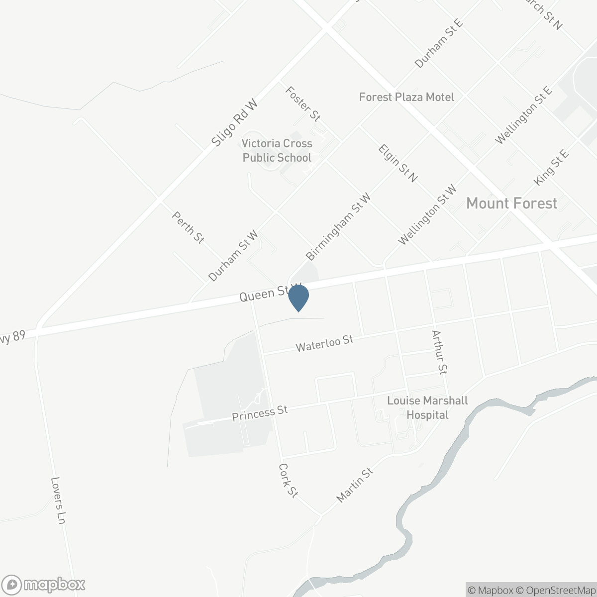 456 QUEEN STREET W, Mount Forest, Ontario N0G 2L3